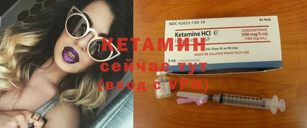 прущие грибы Бородино