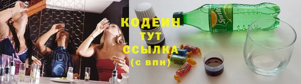 прущие грибы Бородино
