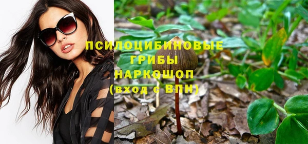 прущие грибы Бородино