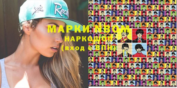 прущие грибы Бородино