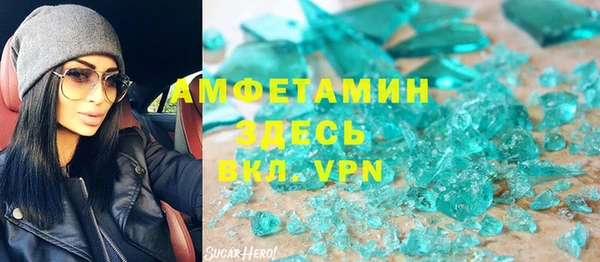 прущие грибы Бородино
