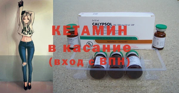 сатива Бронницы